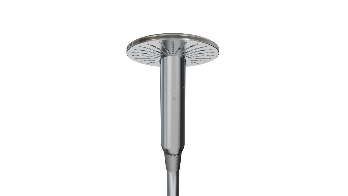 Filtered Shower Head